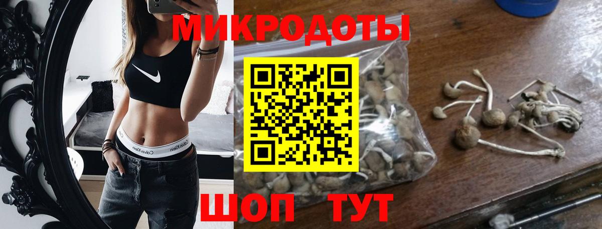 Галлюциногенные грибы мицелий Богородицк